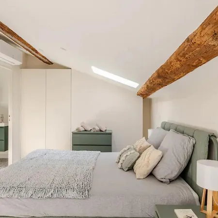 Olaf Appartement Lyon